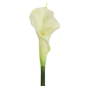 Planta Artificial Encanel Copo de Leite Branco - 78cm